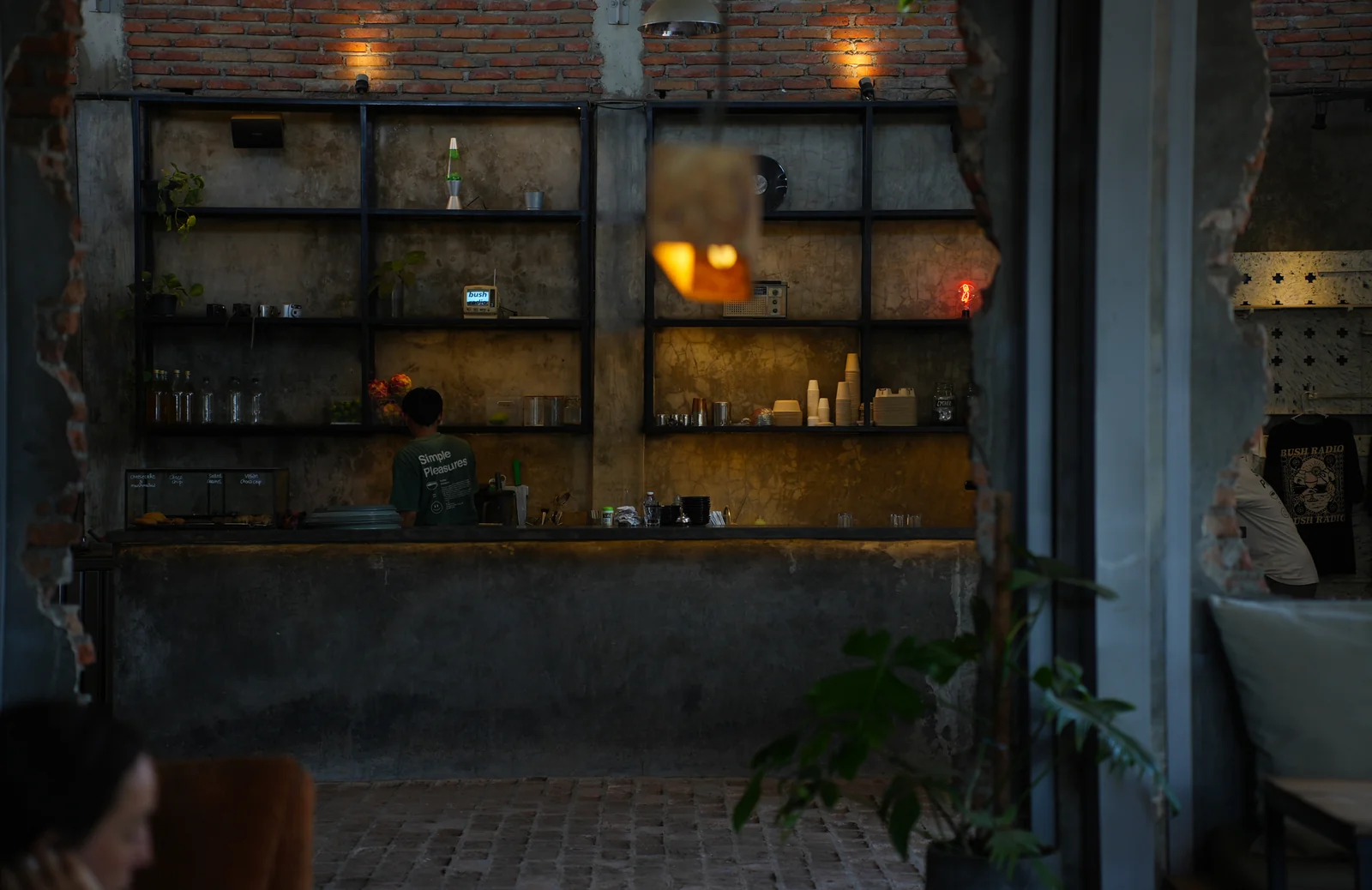 Cafe counter with shelves, plants and warm lights
