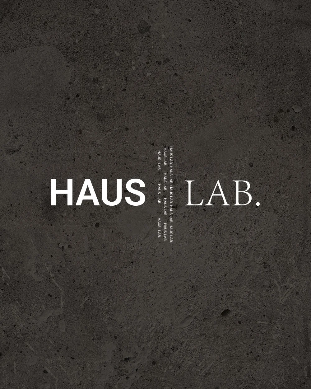 Haus Lab logo on a dark stone texture