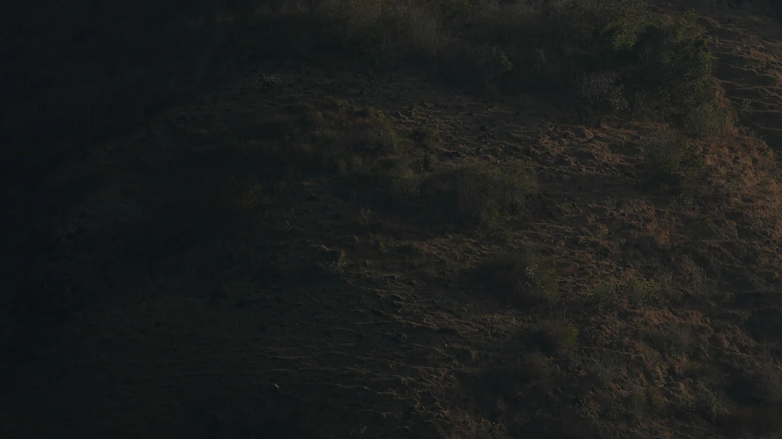 Dark grassy hillside at dusk