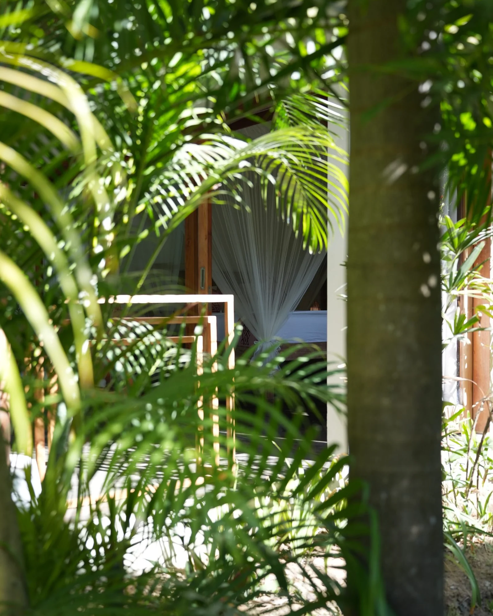 Palm fronds framing a villa doorway and sheer curtains