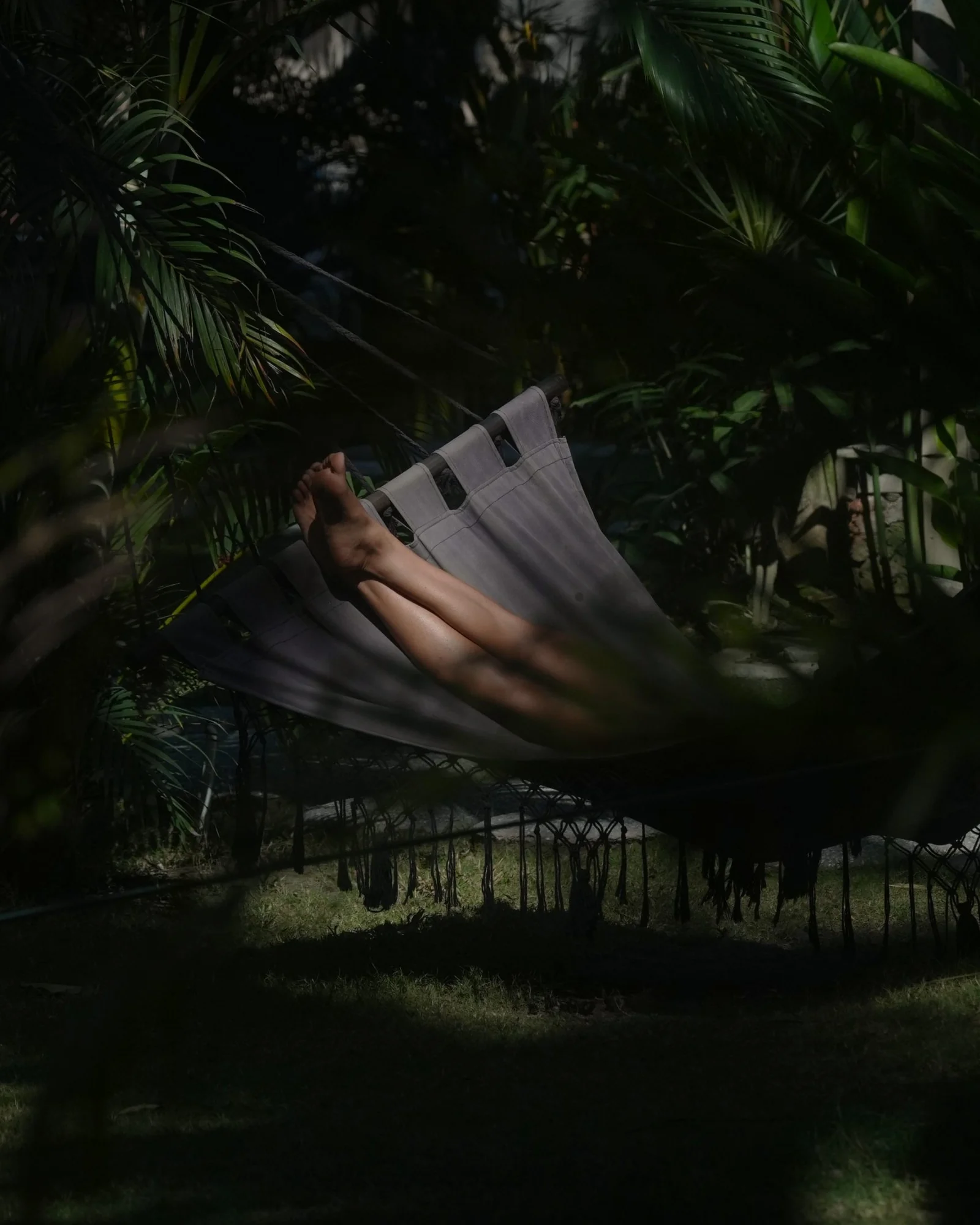 Guest resting in a hammock in the shaded garden