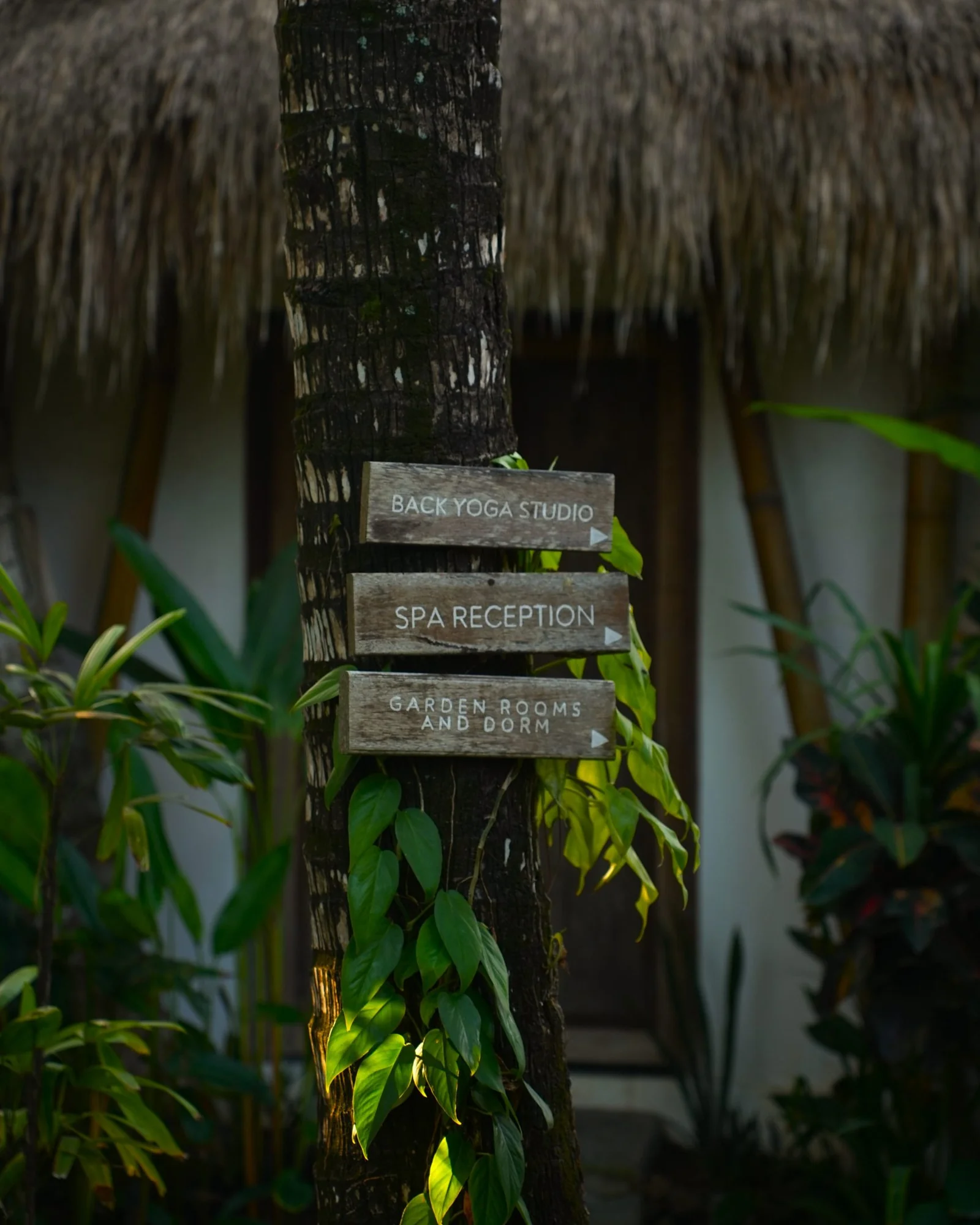 Hand-painted timber signs pointing to the yoga studio, spa and garden rooms